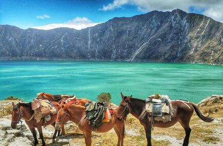 Mejores Gastronómicas y Hostelarias en Cotopaxi