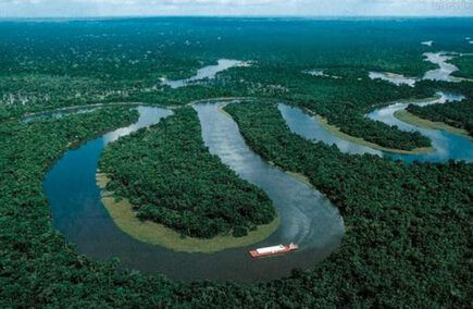 Las Mejores Gastronómicas y Hostelerías en Morona Santiago