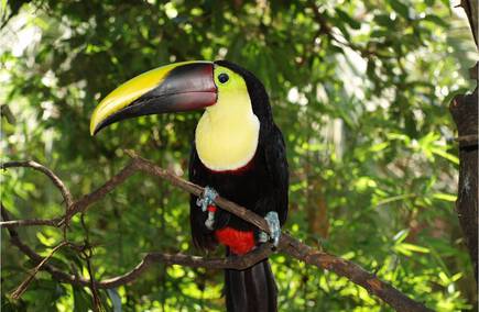 Mejores Gastronomías y Hostelerías en Santo Domingo