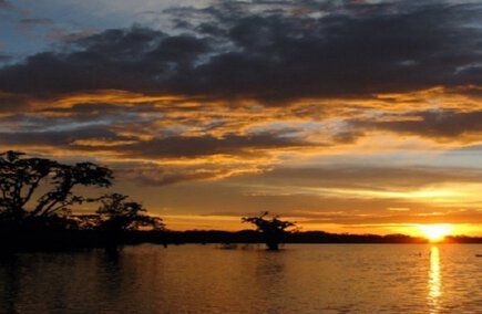 Las Mejores Gastronomías y Hostelerías en Sucumbíos