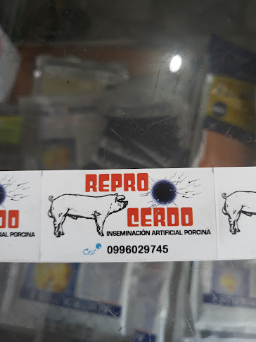 ReproCerdo - Quito