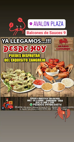 MUNDO CANGREJO La Aurora