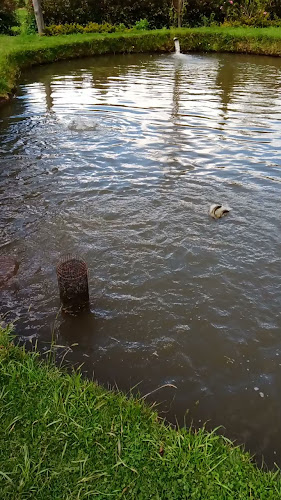 El Salado Quillosisa