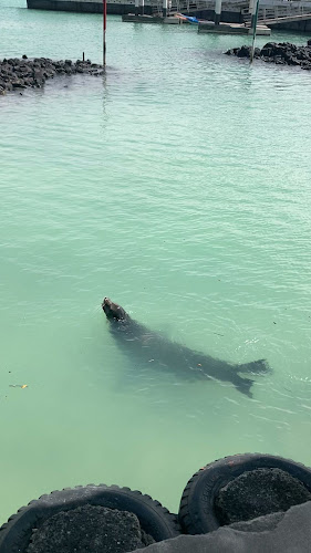 Lemon & Coffee - Gastronomía y hostelería