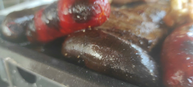 Aloha Bar Restaurante - San José