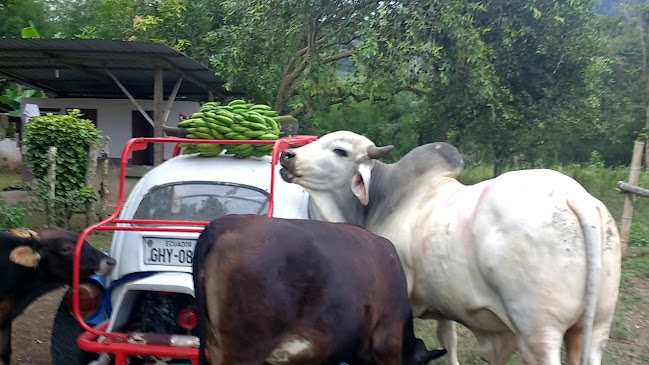 Comentarii opinii despre DANCE la bohemia, bar discoteca