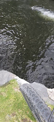 TRUCHAS LA VALENTINA - Ibarra