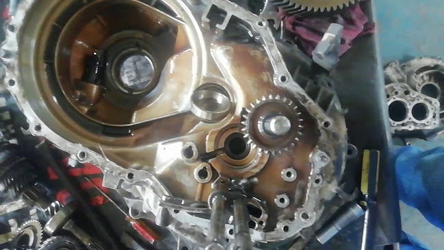 Comentarii opinii despre Babahoyo