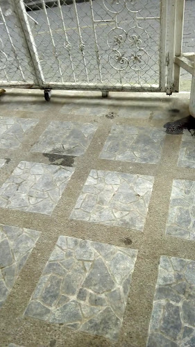 Mercado Central - Gastronomía y hostelería