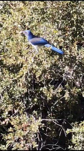 Mercado San Jose de Chimbo - San José de Chimbo
