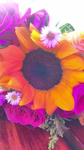 6PJQ+527, Otavalo 100450