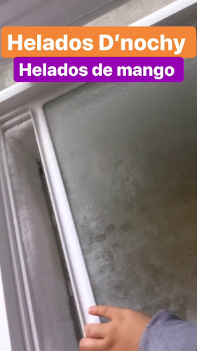 Opinii despre HELADOS D'NOCHY în Santo Domingo - Gastronomía y hostelería