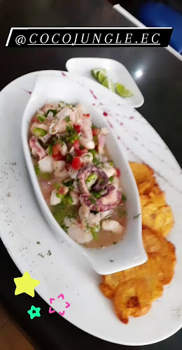 Coco Jungle - Montañita