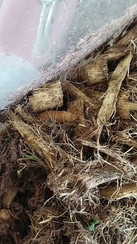 Comentarii opinii despre Patio De Comidas Archidona