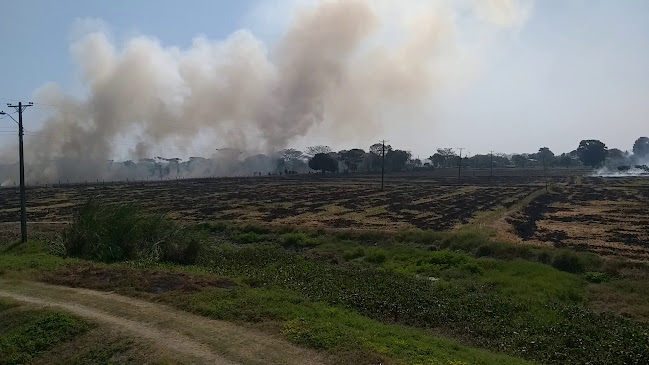 Opinii despre La T Daule în Salitre - Gastronomía y hostelería