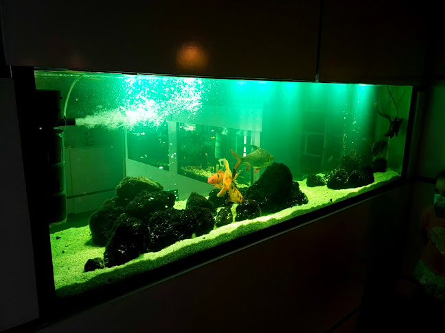 Settimo Mare - Quito