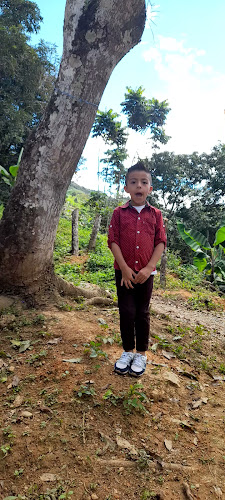 Pizza Rimini - Gastronomía y hostelería