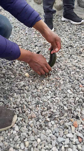 PESCA DEPORTIVA SAN IGNACIO LATACUNGA