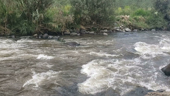 Comentarii opinii despre La Playa del Pisque