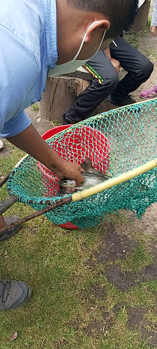 Comentarii opinii despre TRUCHAS LA VALENTINA