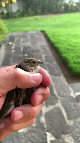 La Chimenea de Charles