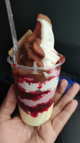 VHD Ricos Helados Franquicia Conocoto - Quito