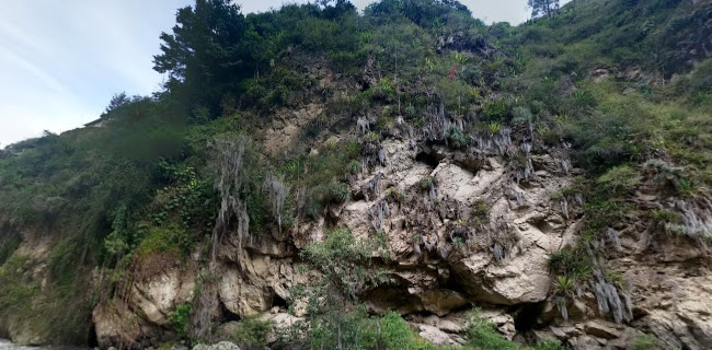 Opinii despre Carchi în Guayaquil - Gastronomía y hostelería