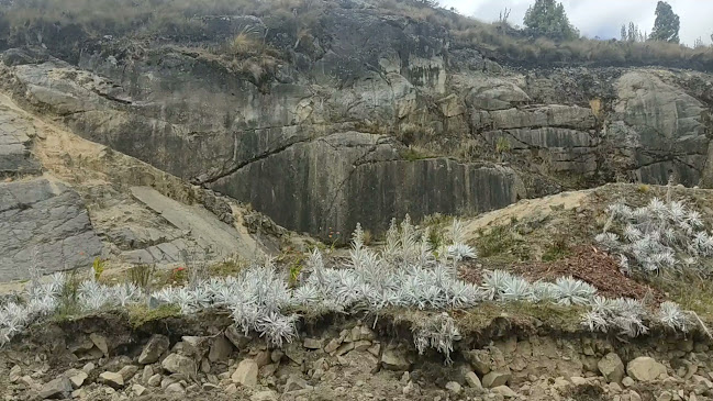 Comentarii opinii despre Rancho Hnos Prado