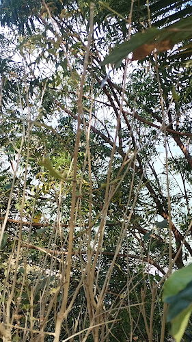 HOTEL MALIBU - Gastronomía y hostelería