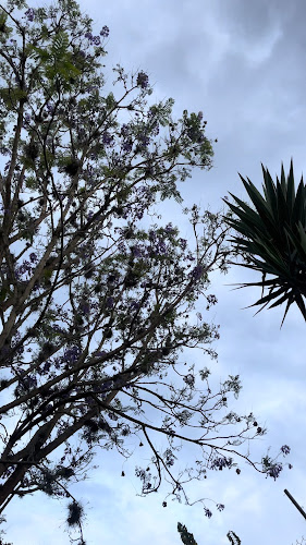 Comentarii opinii despre Restaurante El Riobambeñito Guayllabamba