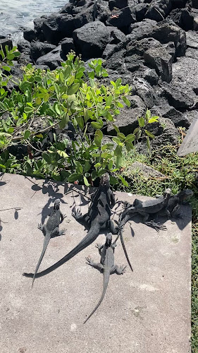 Comentarii opinii despre Lemon & Coffee