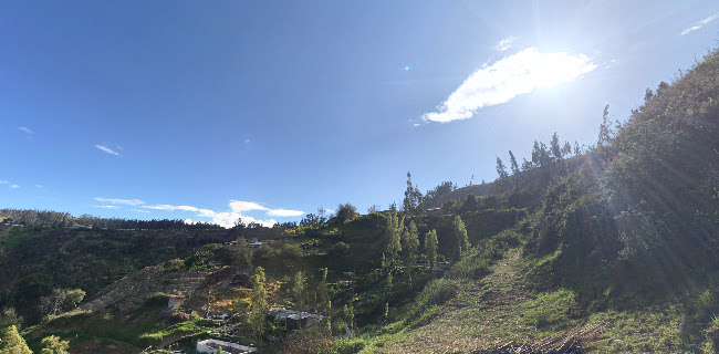 Comentarii opinii despre Asadero de truchas criollito