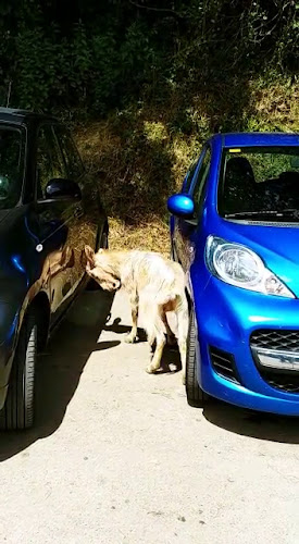 Opinii despre La Guarida în Logroño - Gastronomía y hostelería