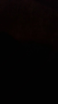 HEladeria Delichic - San Carlos