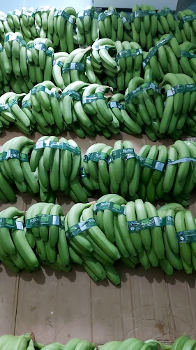 Chukubananas - Gastronomía y hostelería