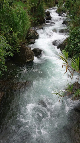 Garcia Moreno, Guayaquil 090514, Ecuador