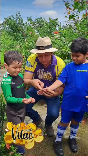 Meliponario Vitae - Gastronomía y hostelería