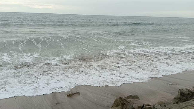 El Viejo y El Mar Hostal y Restaurante - Gastronomía y hostelería