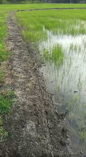 Opinii despre Los Lojas în Los Lojas - Gastronomía y hostelería