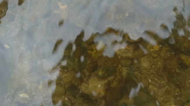 Opinii despre Balneareo La Represa în La Avanzada - Gastronomía y hostelería