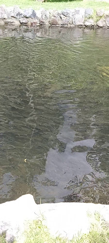 Opinii despre TRUCHAS LA VALENTINA în Ibarra - Gastronomía y hostelería