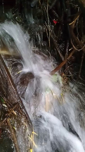 El Mirador Quillán - Píllaro