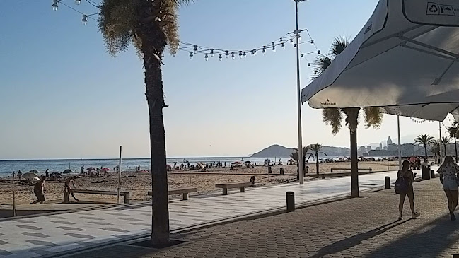 The Jungle - Benidorm