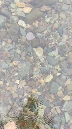 Comentarii opinii despre Centro Turistico El Progreso