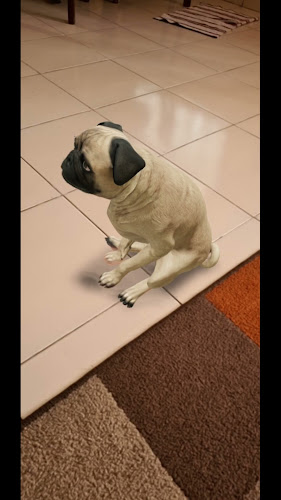 En Algún lugar del mundo - Gastronomía y hostelería