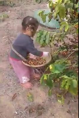 Comentarii opinii despre CaféHJAS