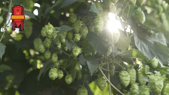 Guanguiltagua N38-44, Quito 170135