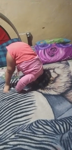 Mira Mar Marisquería - Gastronomía y hostelería