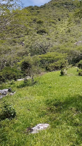 Pailas Rotas - Gastronomía y hostelería