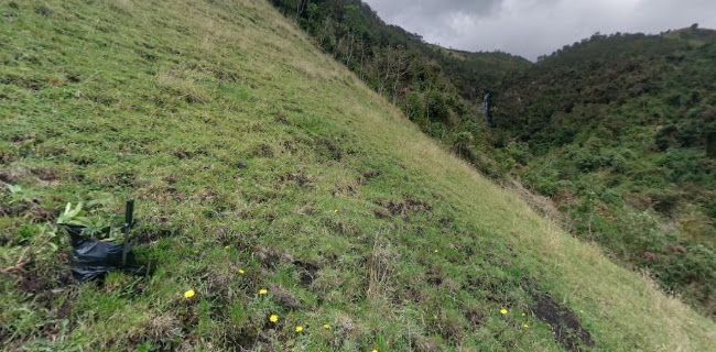 Comentarii opinii despre Carchi